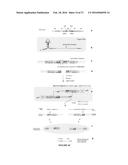 METHODS OF SEQUENCING NUCLEIC ACIDS IN MIXTURES AND COMPOSITIONS RELATED     THERETO diagram and image