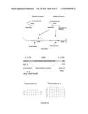 METHODS OF SEQUENCING NUCLEIC ACIDS IN MIXTURES AND COMPOSITIONS RELATED     THERETO diagram and image