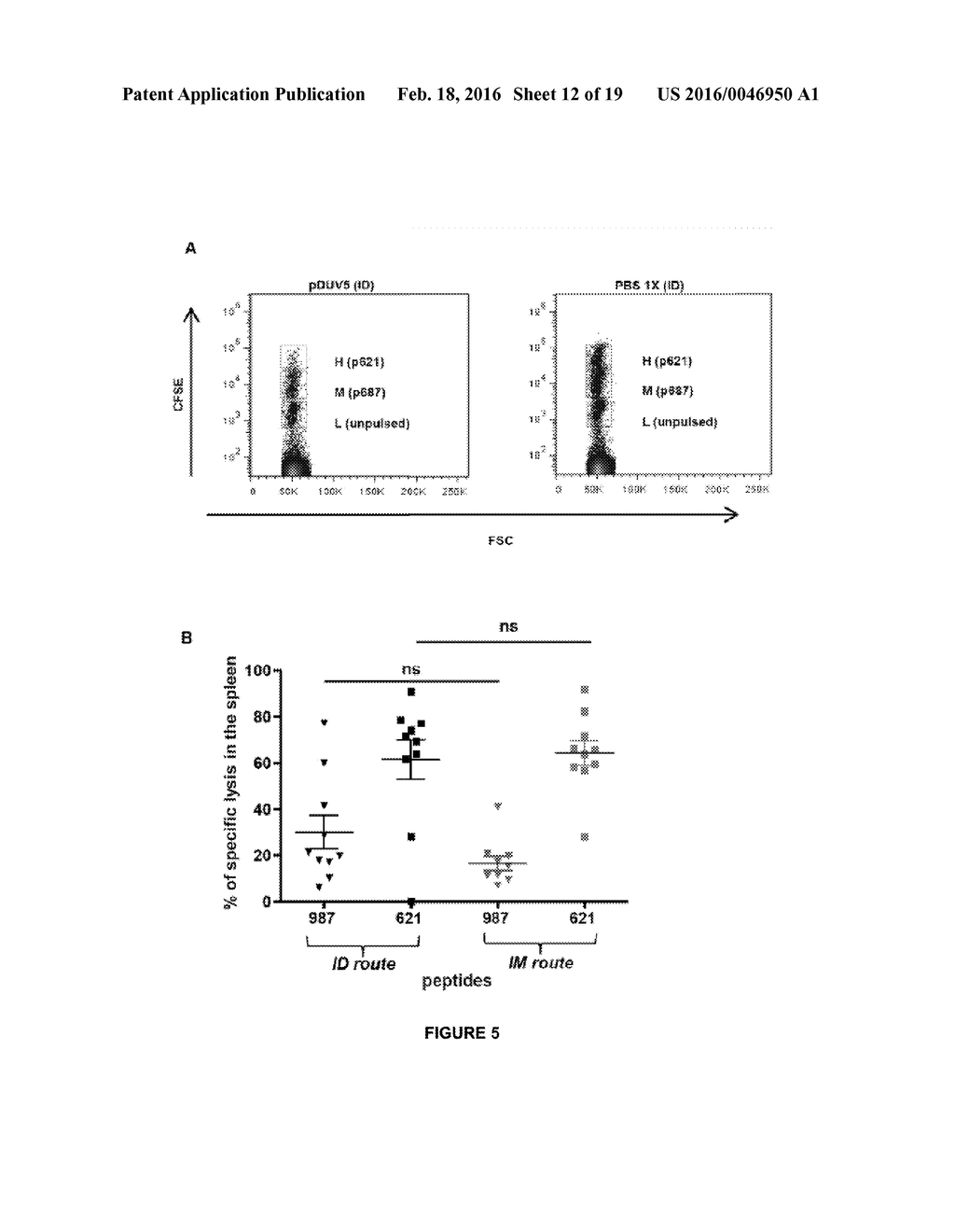 A CANCER VACCINE FOR DOGS - diagram, schematic, and image 13