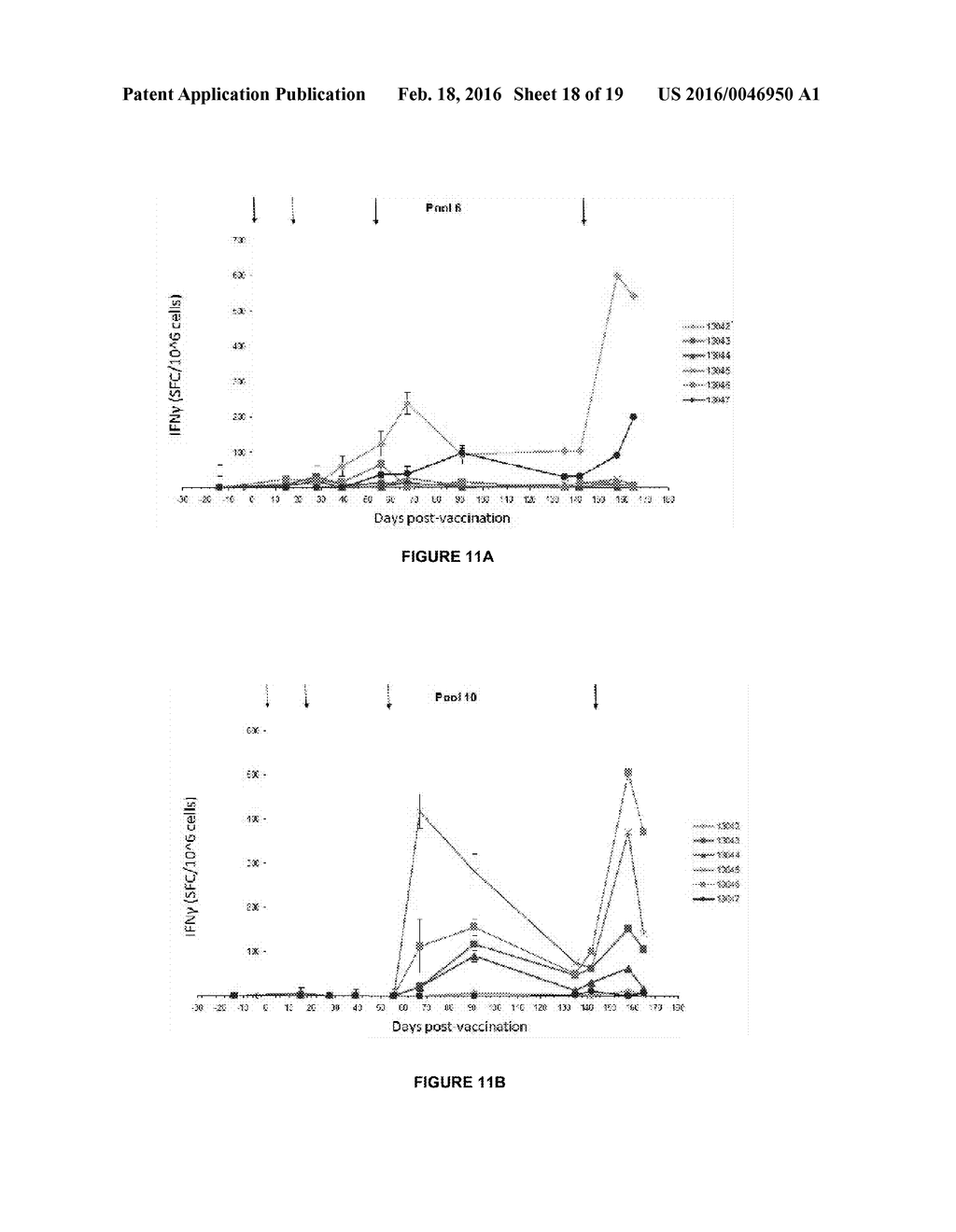 A CANCER VACCINE FOR DOGS - diagram, schematic, and image 19