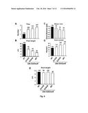 MUTANT GIBBERELLIN 2-OXIDASE GENES AND USES THEREOF diagram and image