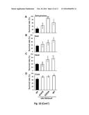 MUTANT GIBBERELLIN 2-OXIDASE GENES AND USES THEREOF diagram and image