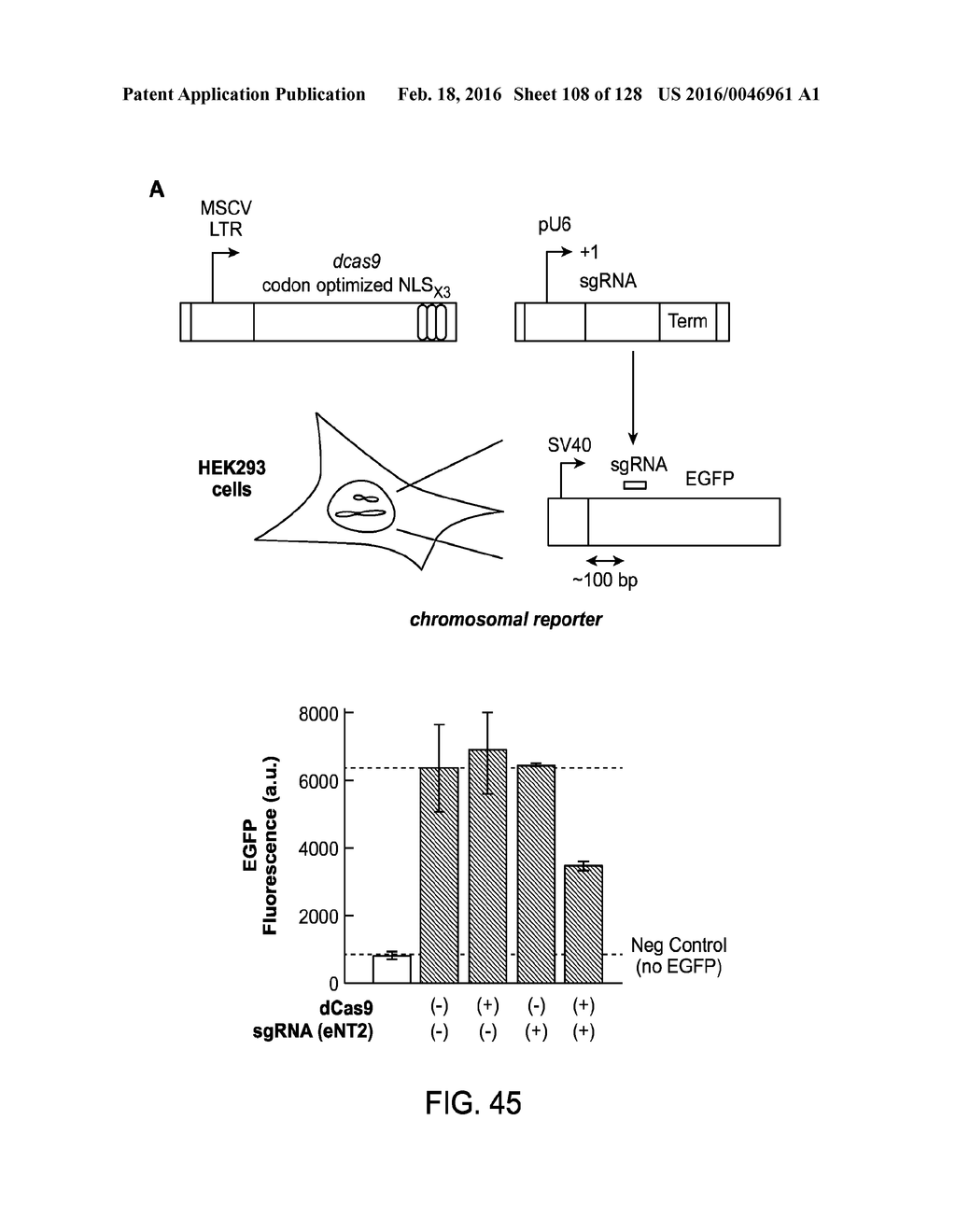 Methods and Compositions for RNA-Directed Target DNA Modification and For     RNA-Directed Modulation of Transcription - diagram, schematic, and image 109