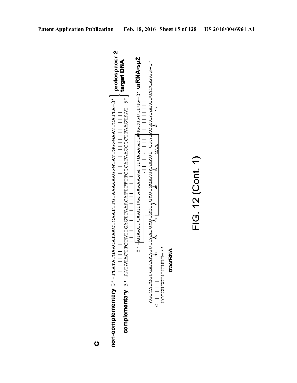 Methods and Compositions for RNA-Directed Target DNA Modification and For     RNA-Directed Modulation of Transcription - diagram, schematic, and image 16