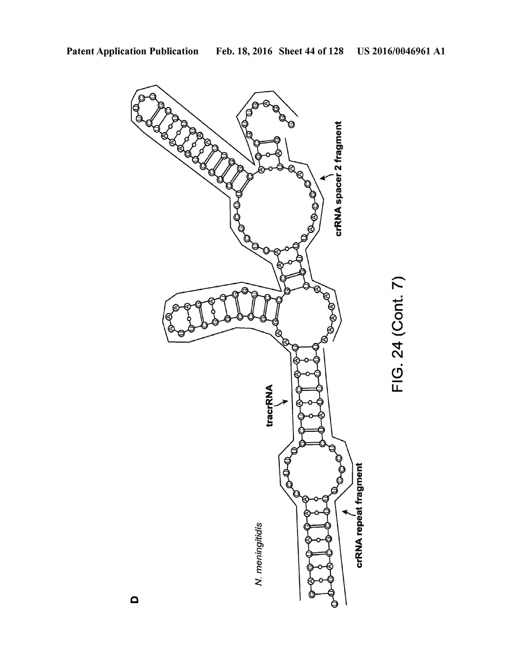 Methods and Compositions for RNA-Directed Target DNA Modification and For     RNA-Directed Modulation of Transcription - diagram, schematic, and image 45