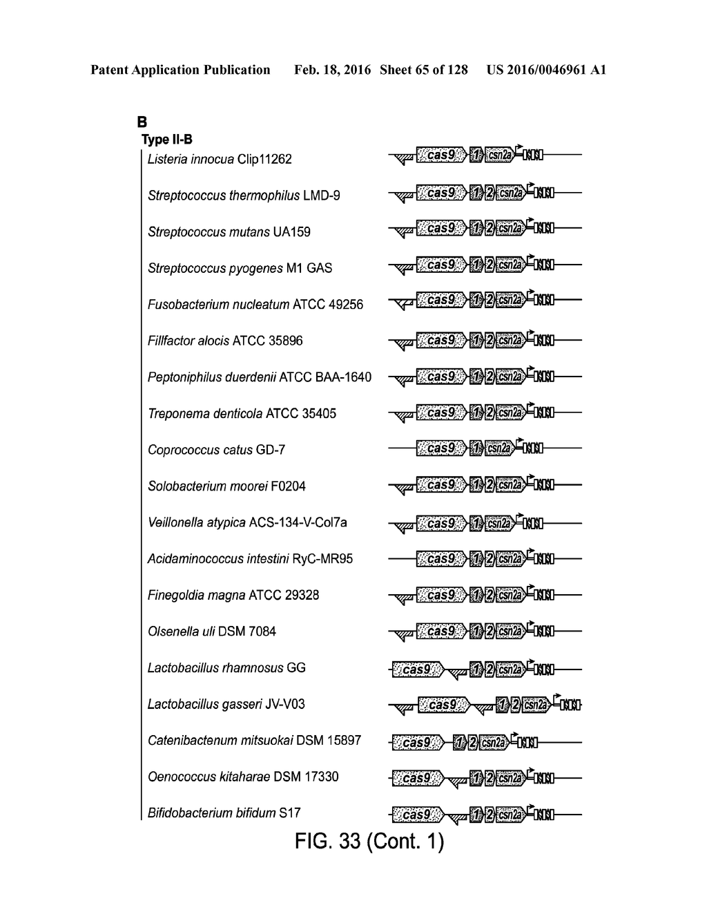 Methods and Compositions for RNA-Directed Target DNA Modification and For     RNA-Directed Modulation of Transcription - diagram, schematic, and image 66