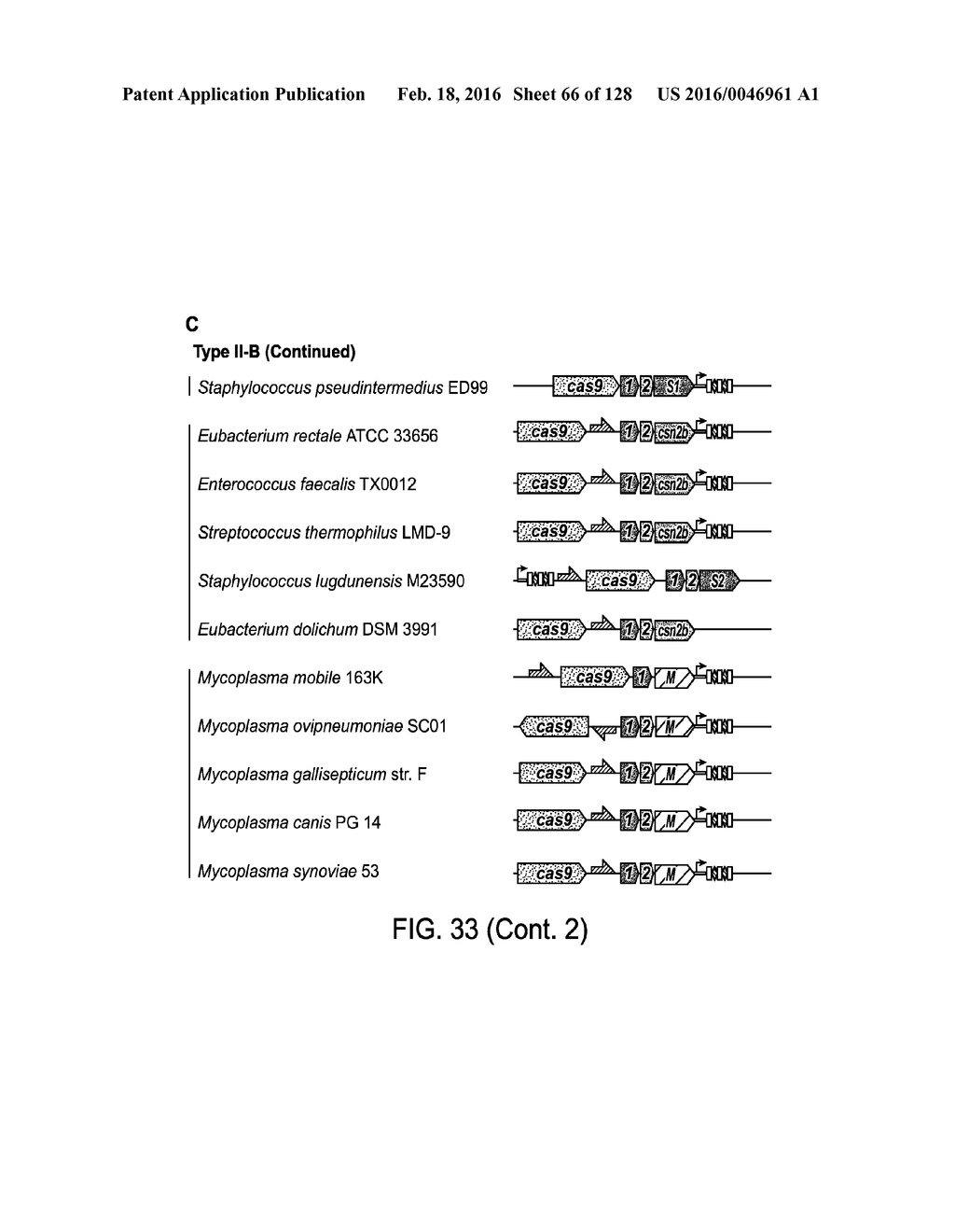 Methods and Compositions for RNA-Directed Target DNA Modification and For     RNA-Directed Modulation of Transcription - diagram, schematic, and image 67