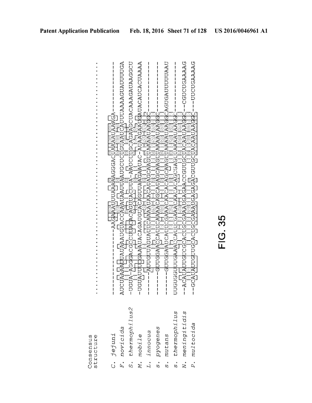 Methods and Compositions for RNA-Directed Target DNA Modification and For     RNA-Directed Modulation of Transcription - diagram, schematic, and image 72