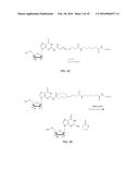 METHODS AND APPARATUS FOR SYNTHESIZING NUCLEIC ACID diagram and image