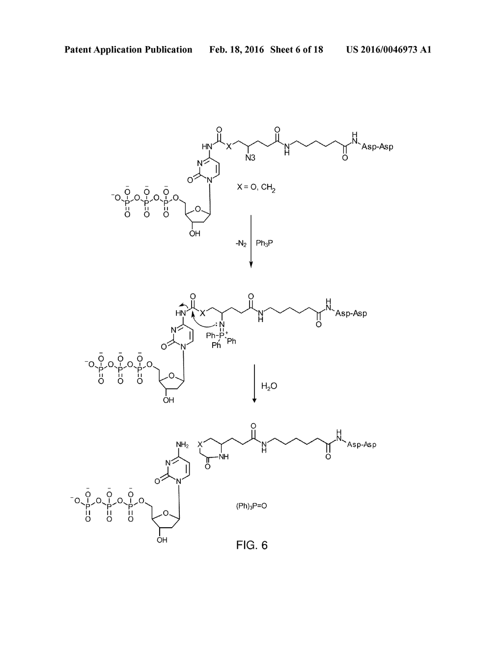 METHODS AND APPARATUS FOR SYNTHESIZING NUCLEIC ACID - diagram, schematic, and image 07