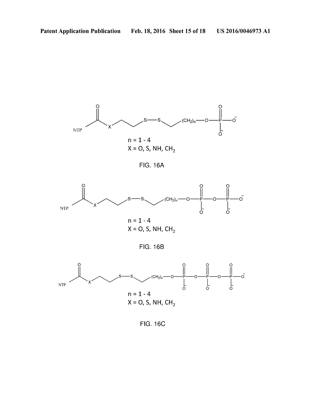 METHODS AND APPARATUS FOR SYNTHESIZING NUCLEIC ACID - diagram, schematic, and image 16