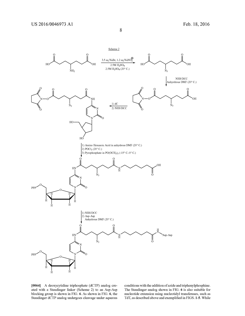 METHODS AND APPARATUS FOR SYNTHESIZING NUCLEIC ACID - diagram, schematic, and image 27