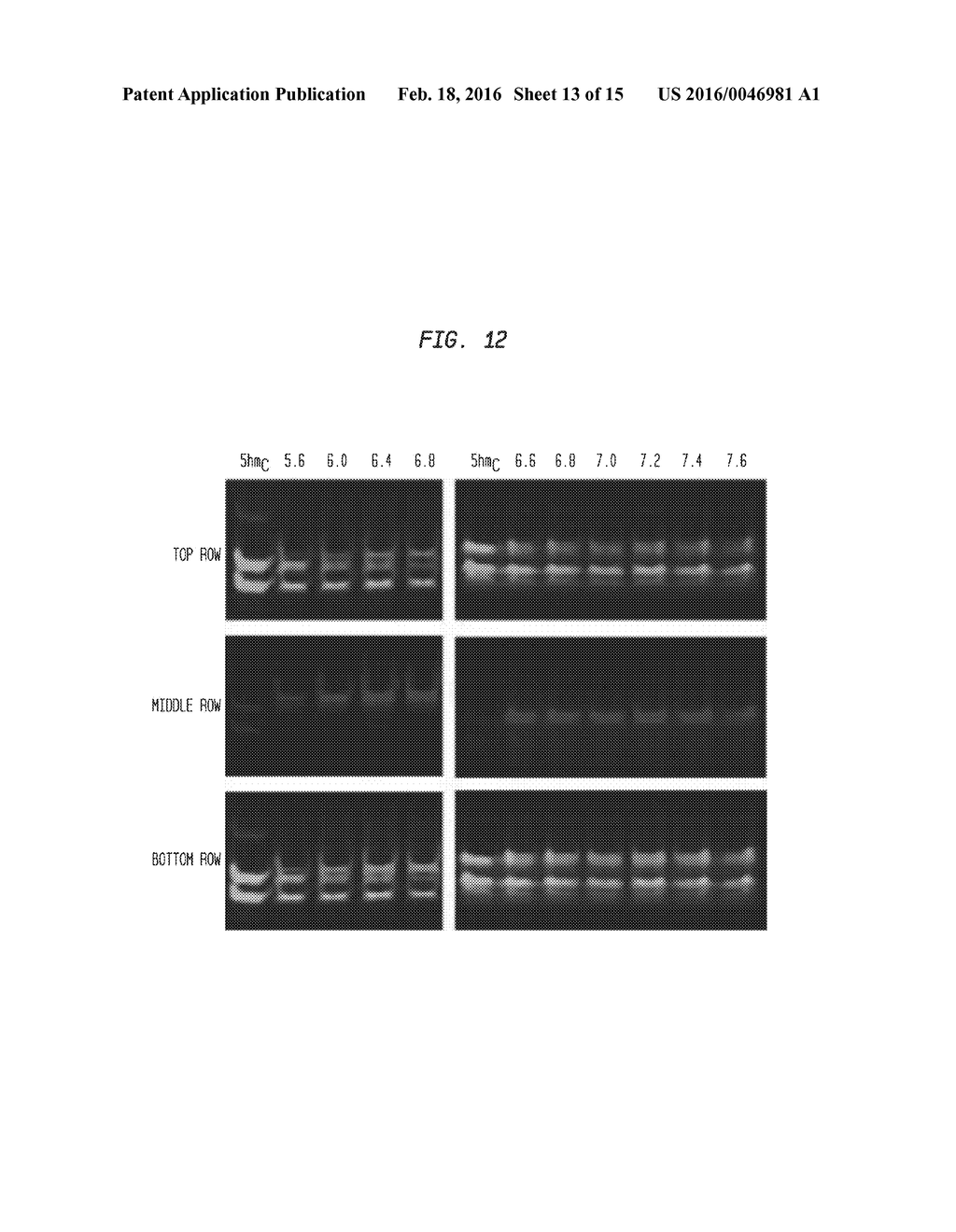 Compositions and Methods for the Transfer of a Hexosamine to a Modified     Nucleotide in a Nucleic Acid - diagram, schematic, and image 14