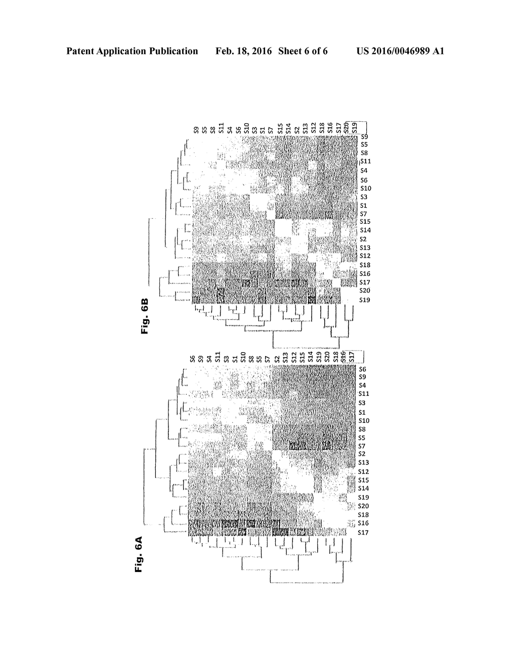 IN VITRO METHOD FOR PREDICTIVE ASSESSMENT OF THE PROSPECTS OF SUCCESS OF     AN IMPLANT AND/OR TRANSPLANT - diagram, schematic, and image 07