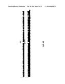 Common and Rare Genetic Variations Associated with Common Variable     Immunodeficiency (CVID) and Methods of Use Thereof for the Treatment and     Diagnosis of the Same diagram and image