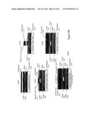 INTERFERENCE SYSTEM AND AN INTERFERENCE METHOD diagram and image