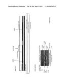 INTERFERENCE SYSTEM AND AN INTERFERENCE METHOD diagram and image