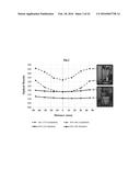 NOVEL MATERIALS USEFUL FOR RADIOGRAPHIC IMAGING OF CONSTRUCTION MATERIALS     AND METHODS USING SAME diagram and image