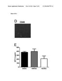 In Vitro Method for Assessing Cytokine Storm Responses diagram and image