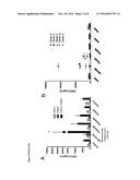 In Vitro Method for Assessing Cytokine Storm Responses diagram and image