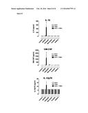 In Vitro Method for Assessing Cytokine Storm Responses diagram and image