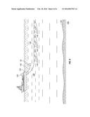 Compliance Chambers for Marine Vibrators diagram and image