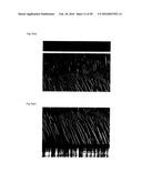 LIGHT DIFFUSION FILM AND LIGHT DIFFUSION FILM MANUFACTURING METHOD diagram and image