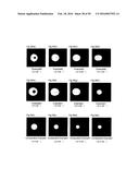 LIGHT DIFFUSION FILM AND LIGHT DIFFUSION FILM MANUFACTURING METHOD diagram and image