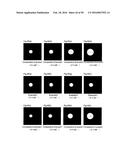 LIGHT DIFFUSION FILM AND LIGHT DIFFUSION FILM MANUFACTURING METHOD diagram and image