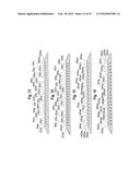 Optical Waveguide Body diagram and image