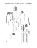 ACCESS AUTHORIZATION BASED ON SYNTHETIC BIOMETRIC DATA AND NON-BIOMETRIC     DATA diagram and image