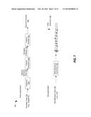 ACCESS AUTHORIZATION BASED ON SYNTHETIC BIOMETRIC DATA AND NON-BIOMETRIC     DATA diagram and image