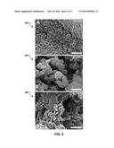 Melanins as Active Components in Energy Storage Materials diagram and image