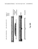 SEMICONDUCTOR BORDER PROTECTION SEALANT diagram and image