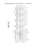 Organic Light Emitting Display Panel diagram and image