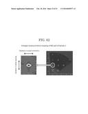 FEROELECTRIC CERAMICS AND METHOD FOR MANUFACTURING THE SAME diagram and image