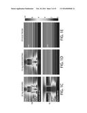 THIN FILM SMALL MOLECULE ORGANIC PHOTOVOLTAIC SOLAR CELL diagram and image