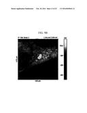 POSITIVE ACTIVE MATERIAL FOR RECHARGEABLE LITHIUM BATTERY diagram and image