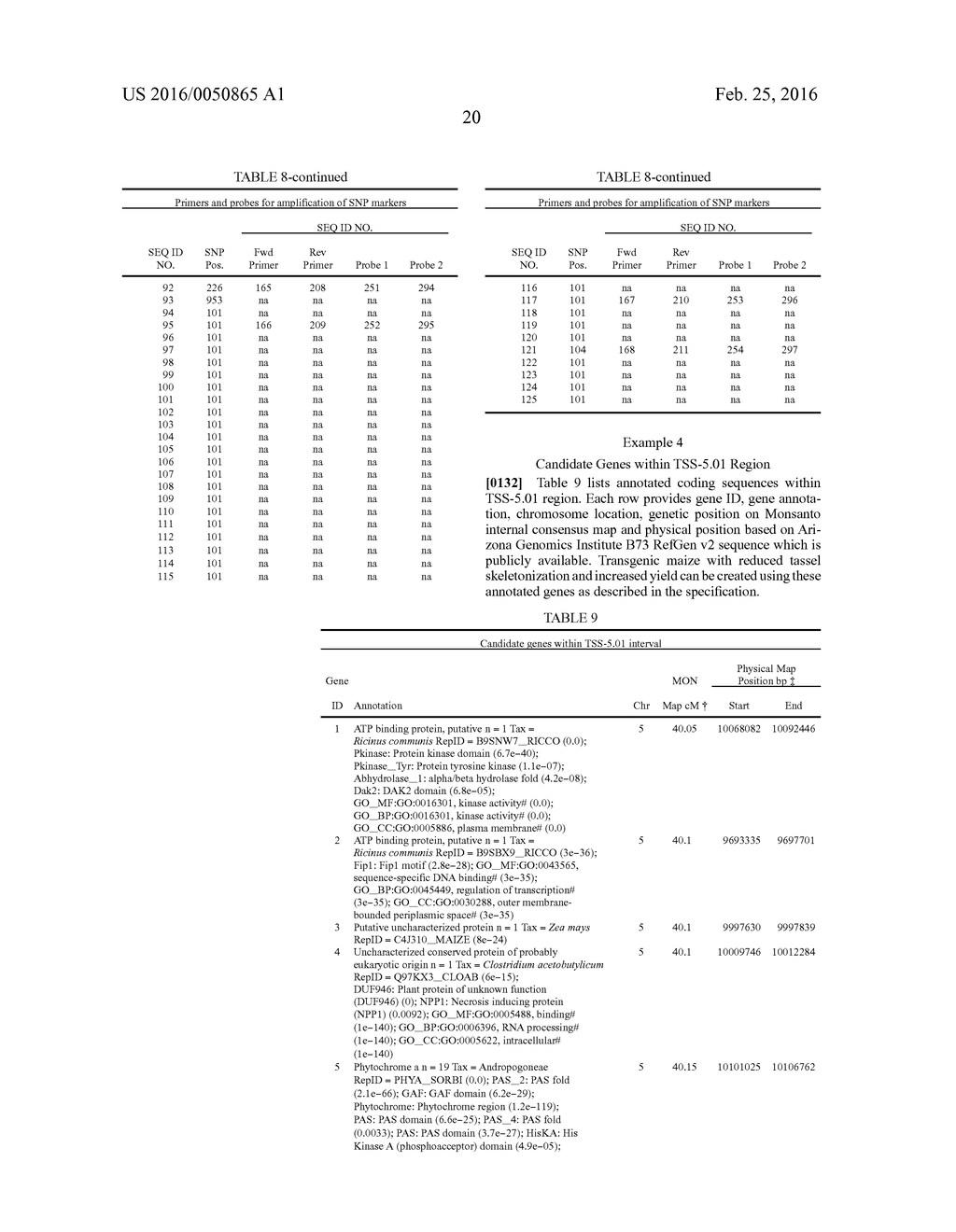 STABILIZATION OF POLLEN PRODUCTION IN MAIZE - diagram, schematic, and image 21