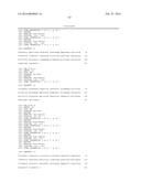 STABILIZATION OF POLLEN PRODUCTION IN MAIZE diagram and image