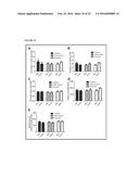 TRANSGENIC NON-HUMAN ORGANISMS WITH NON-FUNCTIONAL TSPO GENES diagram and image