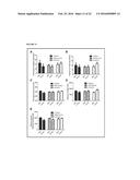 TRANSGENIC NON-HUMAN ORGANISMS WITH NON-FUNCTIONAL TSPO GENES diagram and image