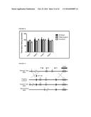 TRANSGENIC NON-HUMAN ORGANISMS WITH NON-FUNCTIONAL TSPO GENES diagram and image