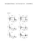 TRANSGENIC NON-HUMAN ORGANISMS WITH NON-FUNCTIONAL TSPO GENES diagram and image