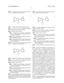 TRANSGENIC NON-HUMAN ORGANISMS WITH NON-FUNCTIONAL TSPO GENES diagram and image