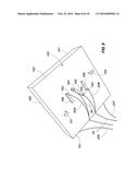 Method and Apparatus for the Management of a Soil Pest diagram and image