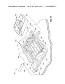 Method and Apparatus for the Management of a Soil Pest diagram and image