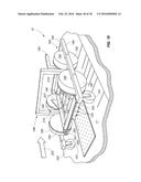 Method and Apparatus for the Management of a Soil Pest diagram and image