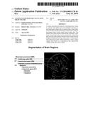 SYSTEM AND METHOD FOR CALCULATING BRAIN VOLUME diagram and image