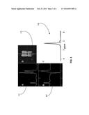 QUANTIFICATION OF IN VIVO METABOLITE diagram and image